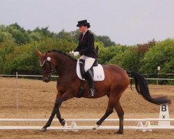 dressage horse Spätlese (Trakehner, 2004, from Sir Chamberlain)