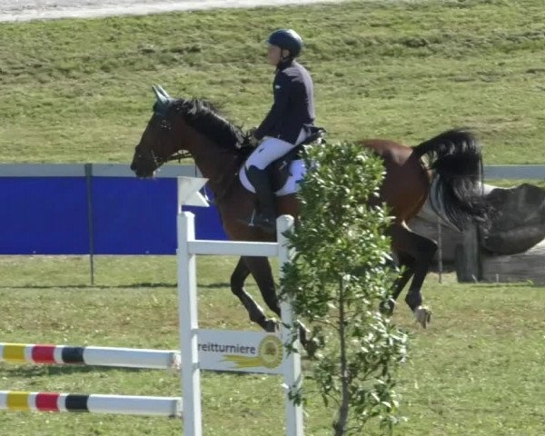 Reitturnier Nußdorf 2019