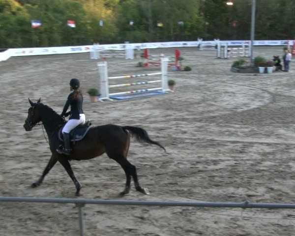 Reitturnier Neunkirchen-City 2019