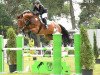 jumper Coretto 6 (Hanoverian, 2008, from Charilan)