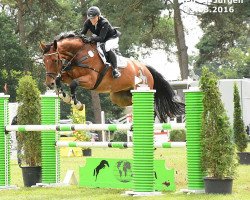 jumper Coretto 6 (Hanoverian, 2008, from Charilan)