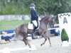 broodmare Roseanne (German Riding Pony, 1995, from Valentino)