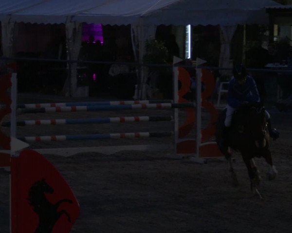 Reitturnier Neunkirchen-City 2019