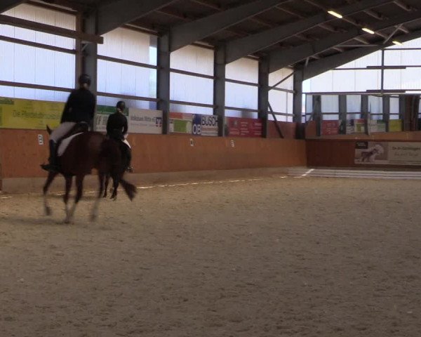 Reitturnier Hof Bettenrode 2019