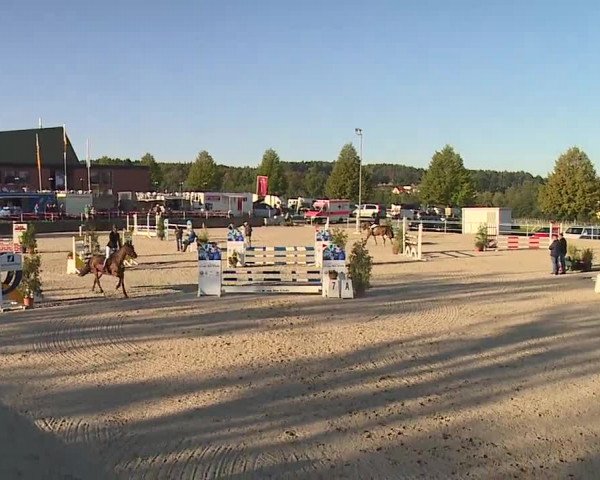 Reitturnier Küps/Ofr. 2019
