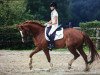 broodmare Fleurance 9 (Westphalian, 2010, from Florenciano 6)