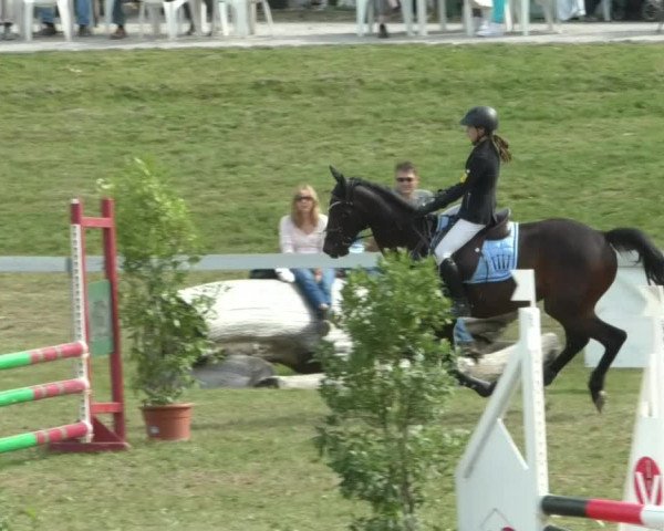 Reitturnier Nußdorf 2019