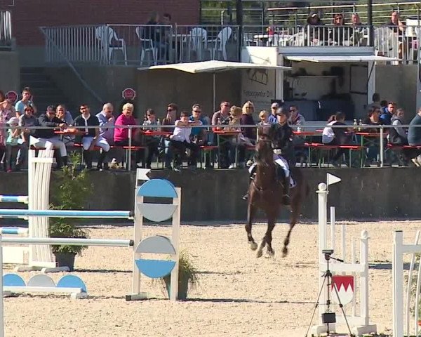 Reitturnier Küps/Ofr. 2019