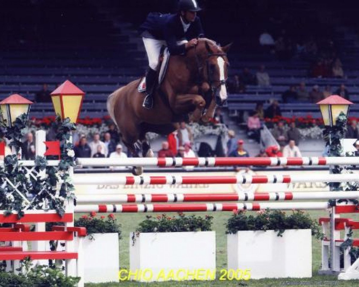stallion Javelot d'Helby (Selle Français, 1997, from Vas Y Donc Longane)