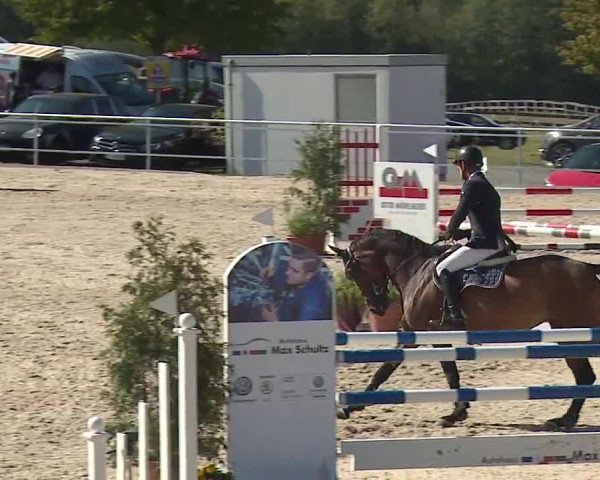 Reitturnier Küps/Ofr. 2019