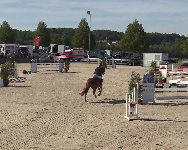 Reitturnier Küps/Ofr. 2019