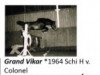stallion Grand Vikar (Holsteiner, 1964, from Colonel)