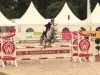 jumper Die Da Tf (German Riding Pony, 2010, from Dexter Leam Pondi)