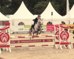 jumper Die Da Tf (German Riding Pony, 2010, from Dexter Leam Pondi)