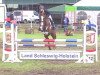 jumper Summer 71 (German Riding Pony, 2010, from Mentano K)