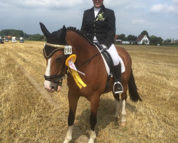 dressage horse Lucille 70 (unknown, 2002)