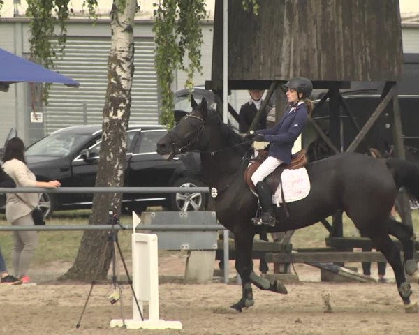 Reitturnier Pforzheim 2019