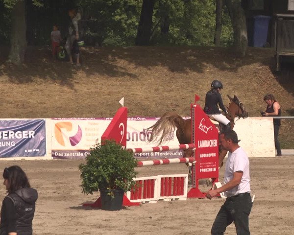 Reitturnier Pforzheim 2019