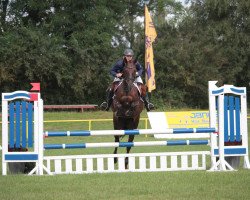 broodmare Chocolate 89 (Oldenburg show jumper, 2011, from Clinton I)