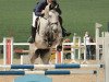 broodmare Queenie 28 (Oldenburg show jumper, 2009, from Quintender 2)