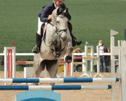 broodmare Queenie 28 (Oldenburg show jumper, 2009, from Quintender 2)