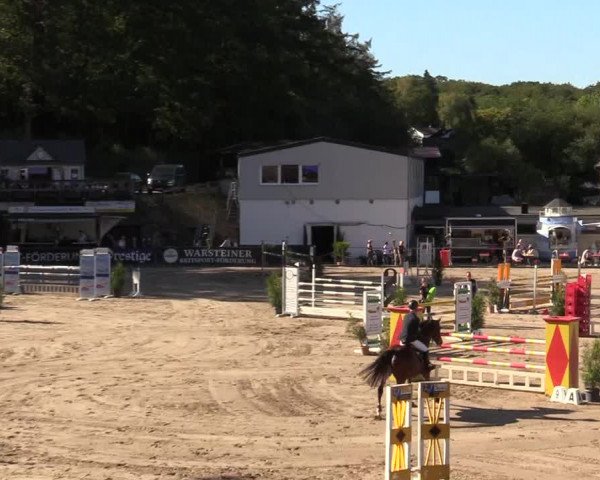Reitturnier Siegen 2019