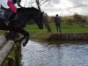 jumper Davidoff (German Riding Pony, 2002, from Donatelli)