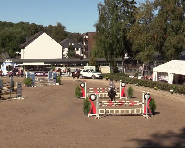 Reitturnier Siegen 2019