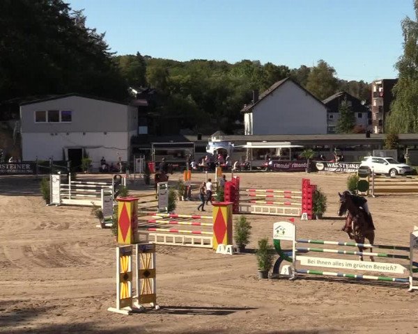 Reitturnier Siegen 2019