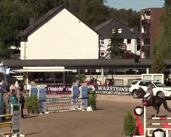 Reitturnier Siegen 2019