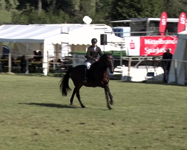 Reitturnier Jüterbog / Werder 2019