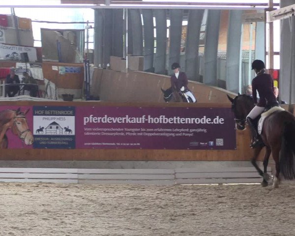 Reitturnier Hof Bettenrode 2019