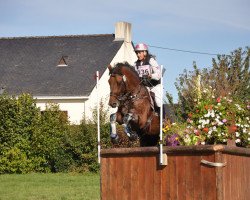 horse Ramdam Latour (Selle Français, 2005, from Dollar de la Pierre)