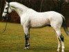 stallion Ksarset xx (Thoroughbred, 1970, from Setubal xx)