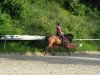 jumper Dorothy Diamond (German Riding Pony, 2004, from Doodoo)