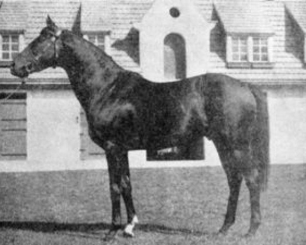 stallion Mat de Cocagne xx (Thoroughbred, 1948, from Birikil xx)