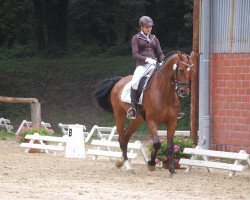 dressage horse Latino Dancer 4 (Westphalian, 2003, from Lord Caletto)