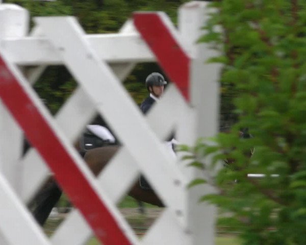 Reitturnier Wernigerode 2019