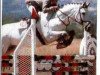 stallion Dupont (Hanoverian, 1983, from Diskus)