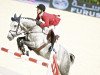 Springpferd Fine Fleur du Marais (Belgisches Warmblut, 2005, von Toulon)