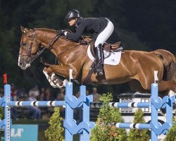 jumper Appy Cara (KWPN (Royal Dutch Sporthorse), 2005, from Guidam)