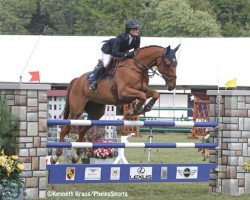 jumper Onyx du Haut Bois (Selle Français, 2002, from Cabdula du Tillard)