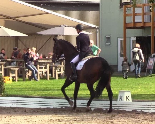 Reitturnier Wedel-Catharinenhof 2019
