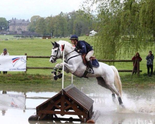 horse R'Du Temps Bliniere (Selle Français, 2005, from Airborne Montecillo)