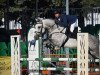 jumper Dd Blue Boy (Oldenburg show jumper, 2011, from Plot Blue)