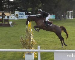 broodmare Pivoine de Gy (Selle Français, 2003, from Jarnac)