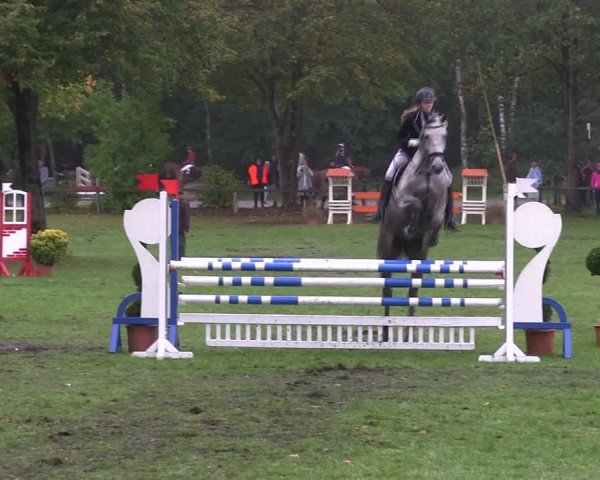 Reitturnier Wedel-Catharinenhof 2019