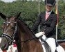 dressage horse Reinste Freude G (Mecklenburg, 2010, from Rodiste)