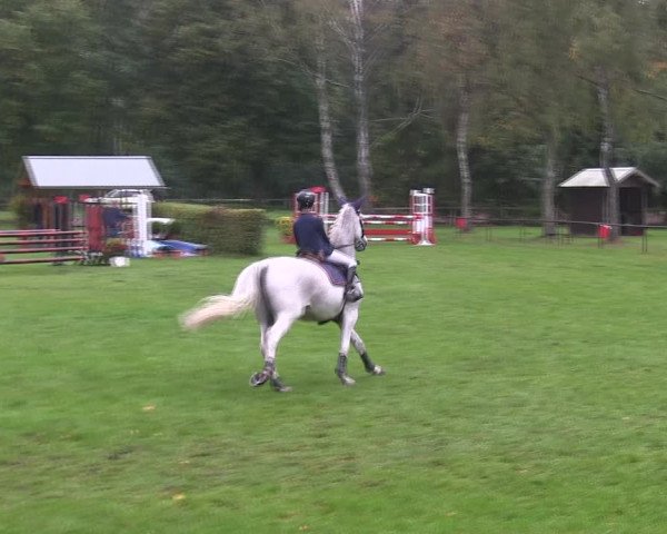 Reitturnier Wedel-Catharinenhof 2019