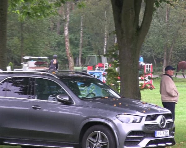 Reitturnier Wedel-Catharinenhof 2019